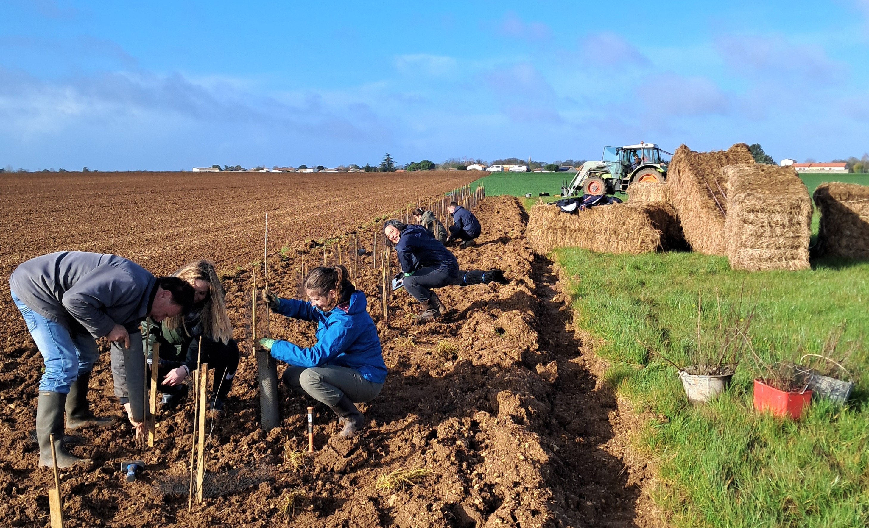Chantier plantation de haie